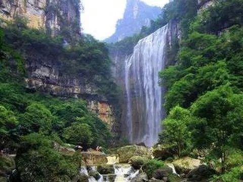米乐米可森林大冒险